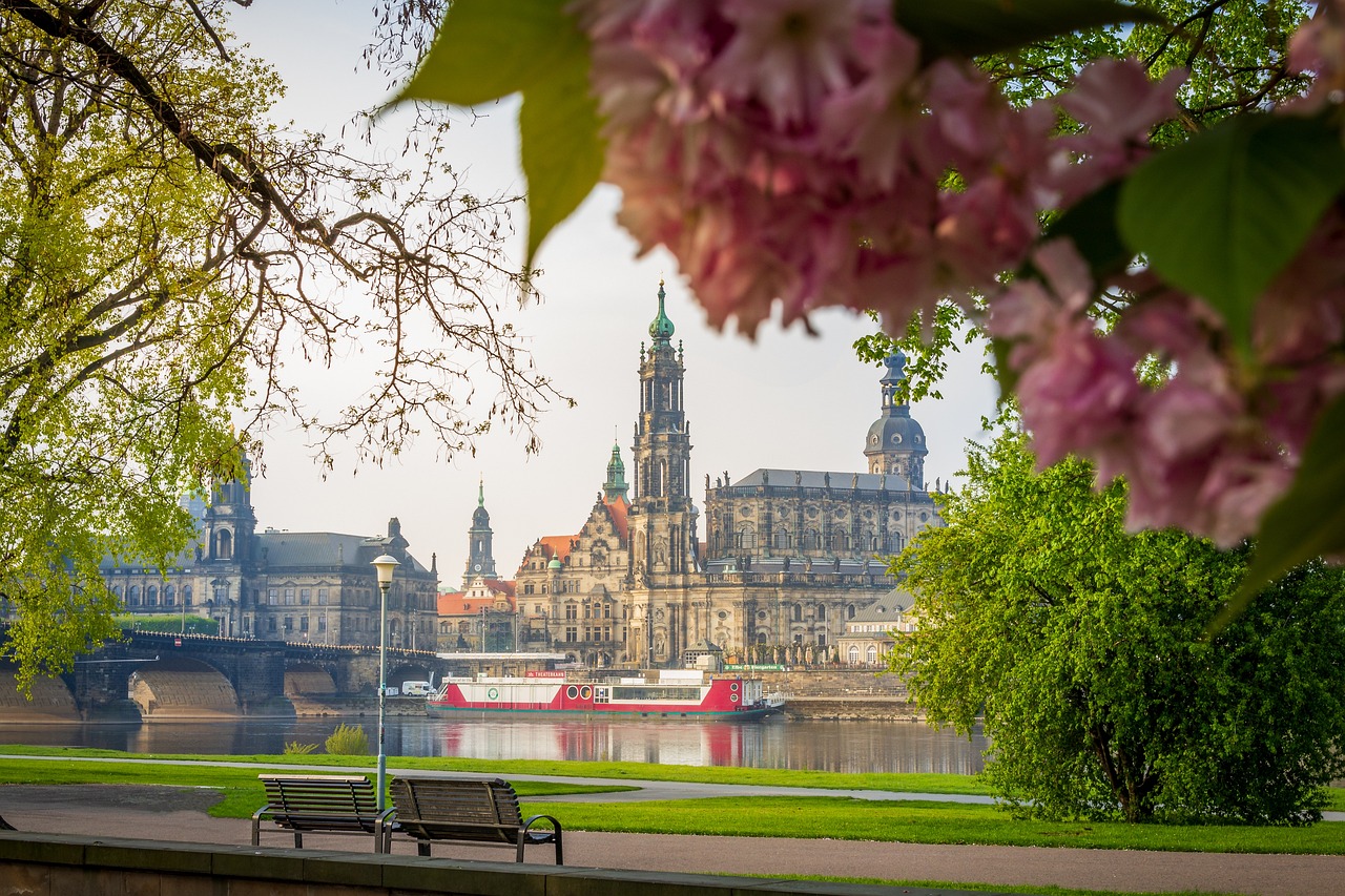 Elbwiesen Dresden